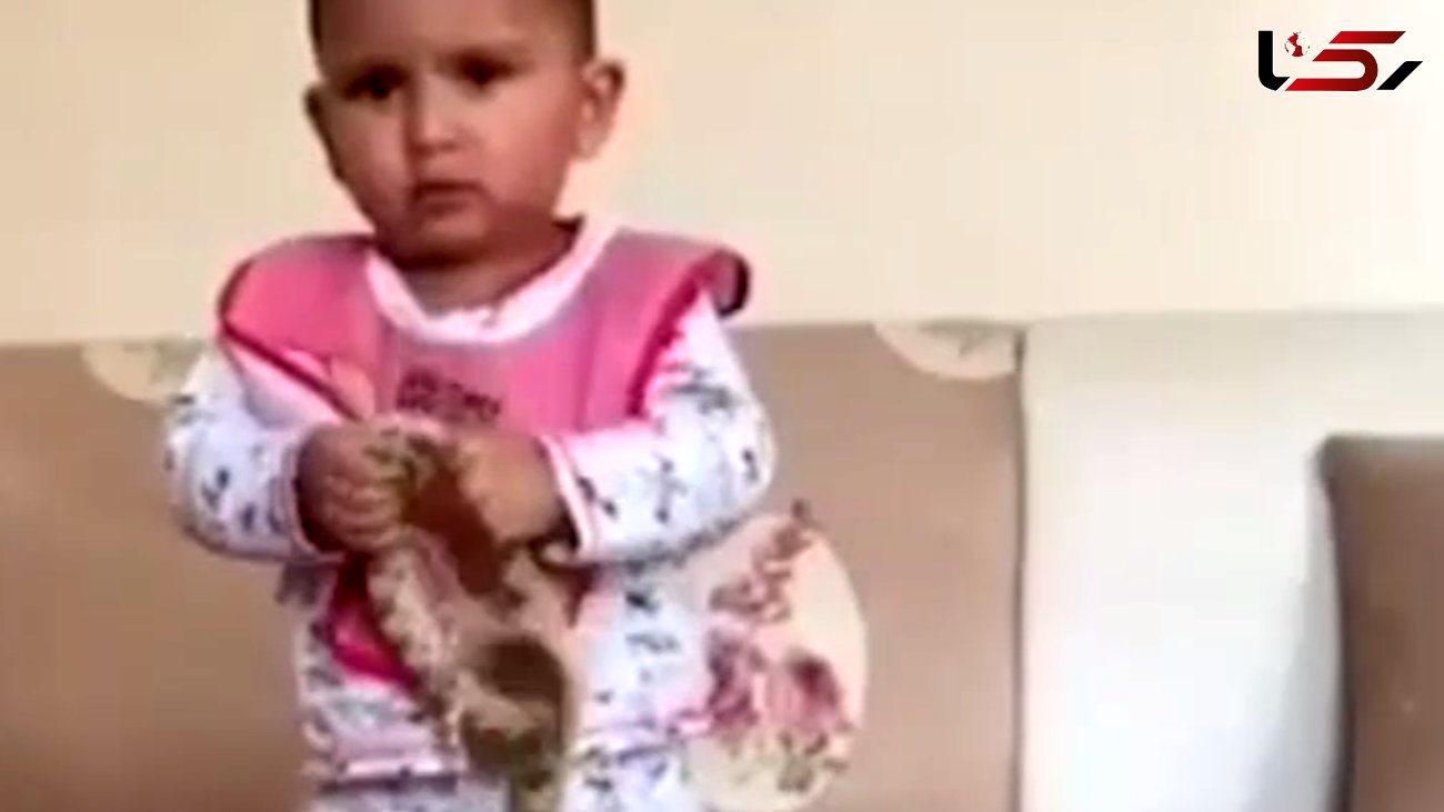 اقدام عجیب مرد سعودی برای گاز گرفتن مار زنده توسط دختر دوساله‌اش + فیلم و عکس