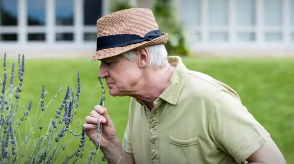 خطر از دست دادن حس بویایی به اندازه پارکینسون یا سکته در زندگی فرد
