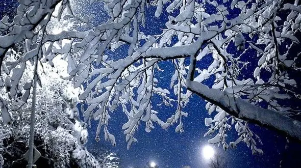 از سپیدی شب تا آرامش طبیعت