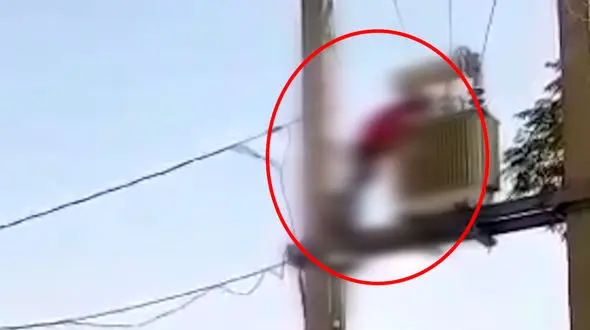 فیلم لحظه خشک شدن دزد کابل برق / صحنه تلخ از یک سرقت + ببینید