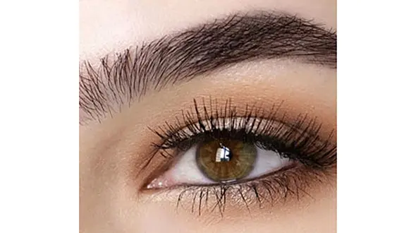 6 روش طبیعی برای پرپشت شدن ابرو