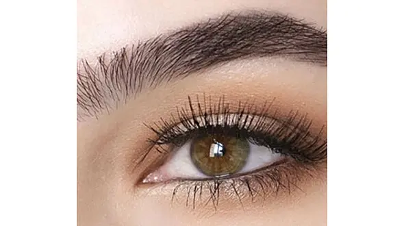 6 روش طبیعی برای پرپشت شدن ابرو