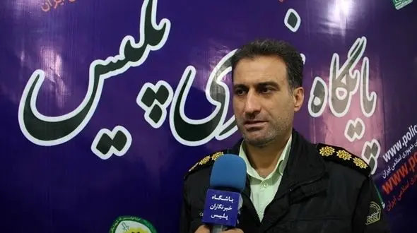 جاعل و کلاهبردار حرفه ای در ایلام زمین گیر شد