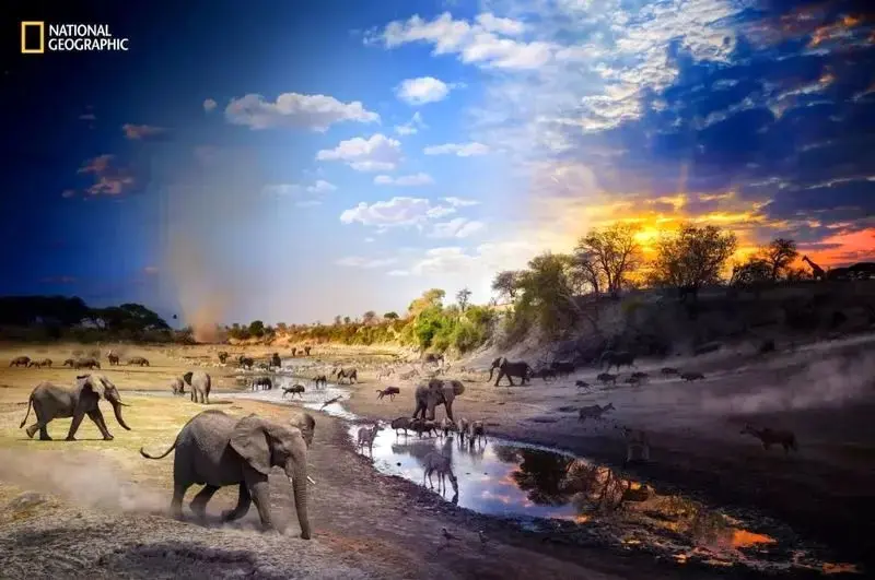 تصاویر نشنال جئوگرافیک