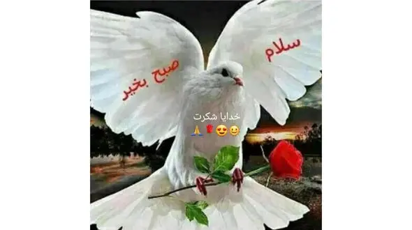 فال و طالع بینی 23 آذر + فیلم