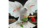 فال و طالع بینی 23 آذر + فیلم