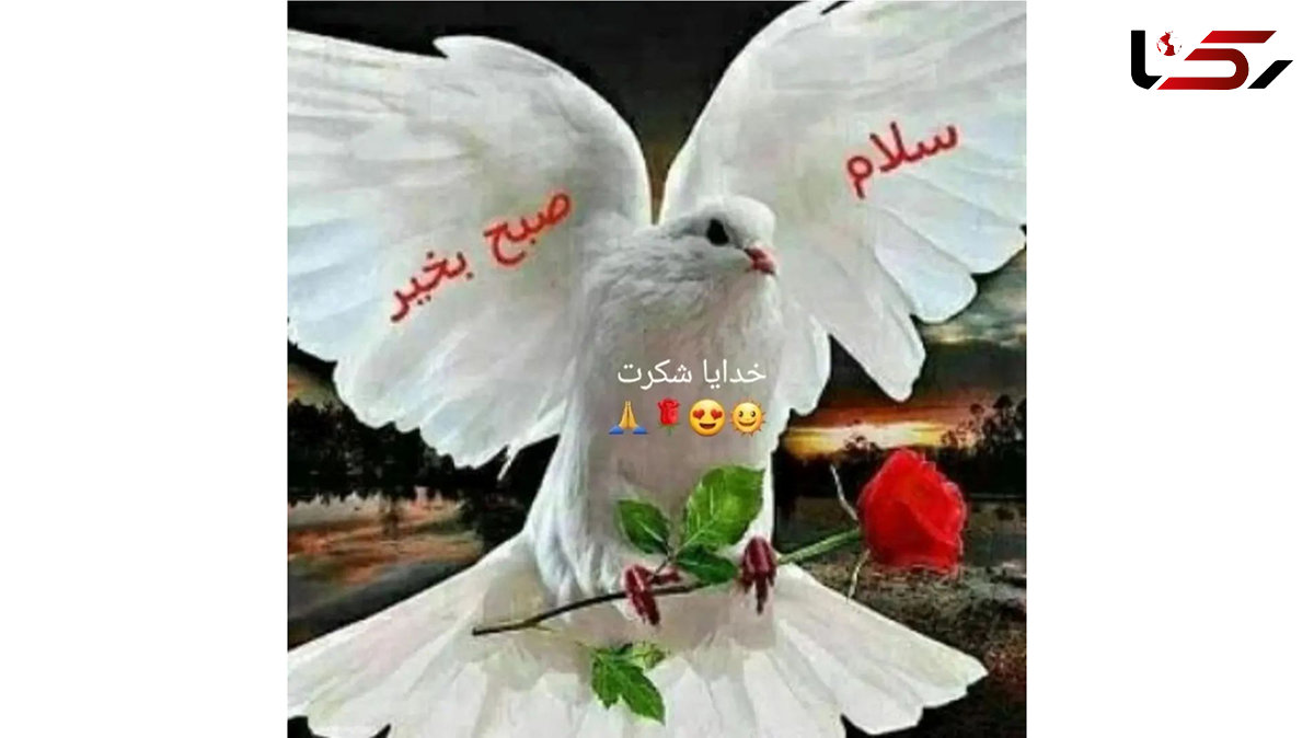 فال و طالع بینی 23 آذر + فیلم