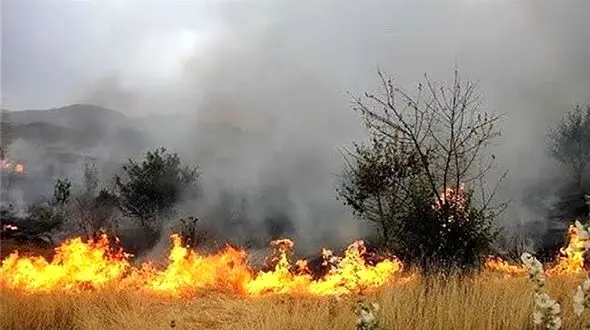 اعزام 2 فروند بالگرد آبپاش برای مهار آتش در منطقه خنگ بنار گچساران + فیلم