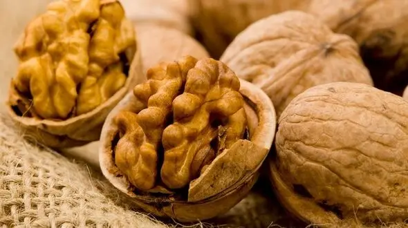 معجزات گردو را نادیده نگیرید!