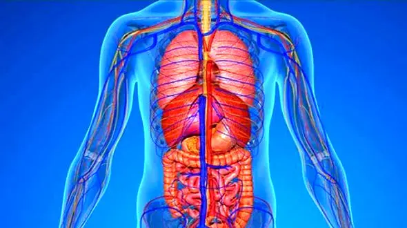 چطور لخته خون را از درون رگ ها بیرون می کشند؟ + فیلم 