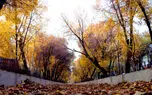 نماهنگ "آهای خبردار" با صدای همایون شجریان + فیلم 