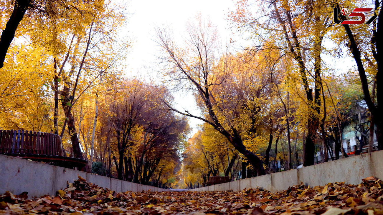 آخرین وضعیت آب و هوا در کرمانشاه/ از باران پراکنده تا دمای زیر صفر