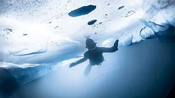 ببینید | دو مینی‌بوس پر از مسافر زیر یخ رفتند!