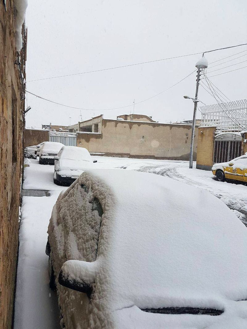 برف در کاشان