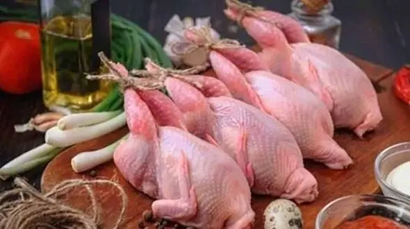 گوشت بلدرچین بخورید زیرا ...