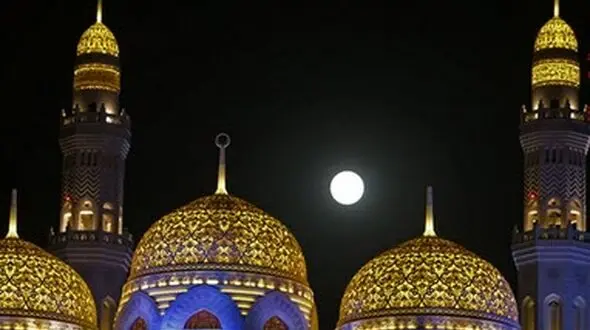 زیباترین تصاویر مونس زمین در شکار عکاسان+تصاویر