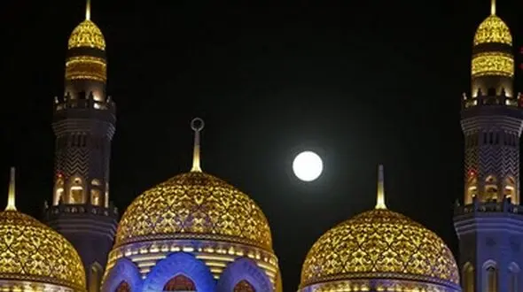 زیباترین تصاویر مونس زمین در شکار عکاسان+تصاویر