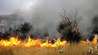 آتش سوزی  در منطقه حفاظت شده خامی