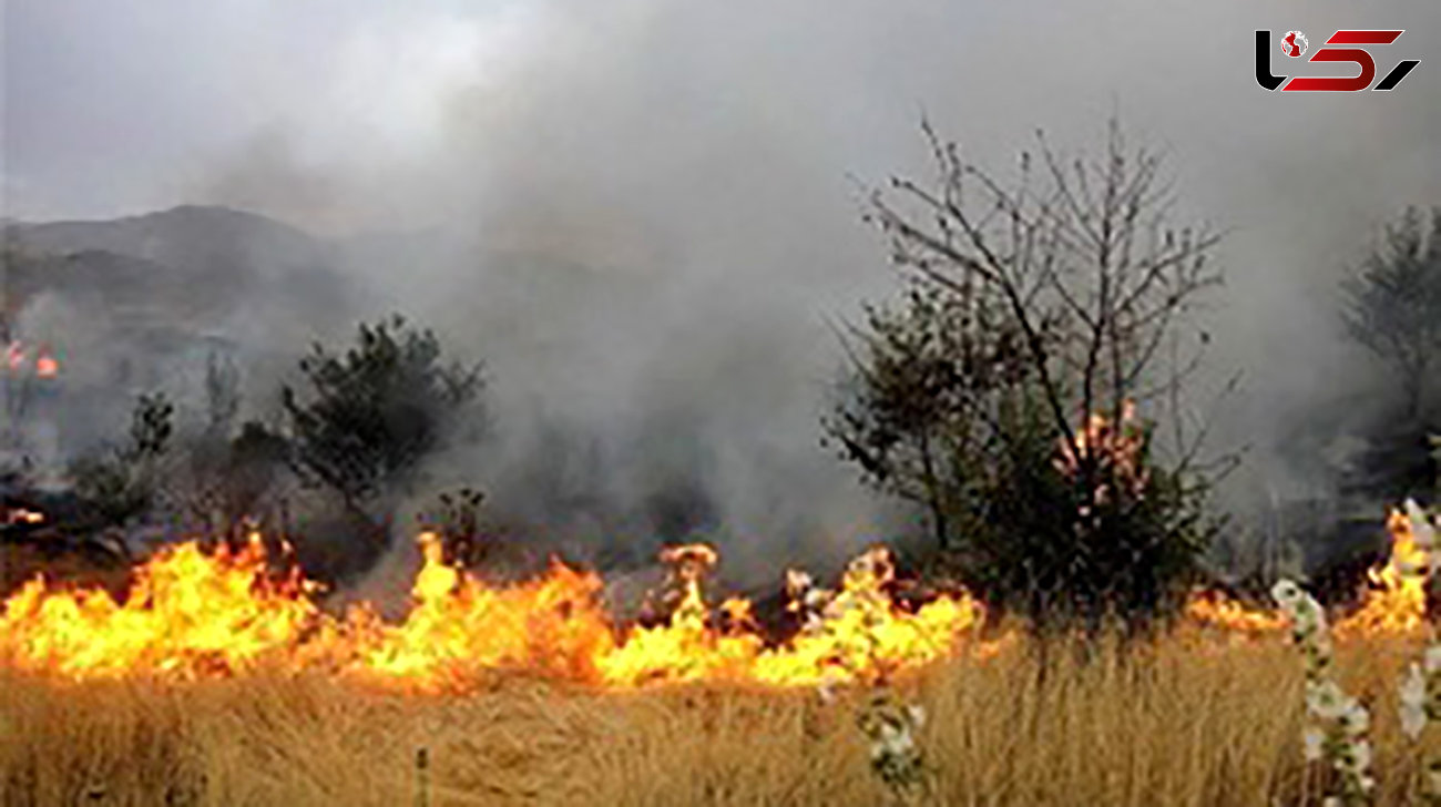 50 هکتار از عرصه‌های طبیعی منطقه حفاظت شده بیستون در آتش سوخت