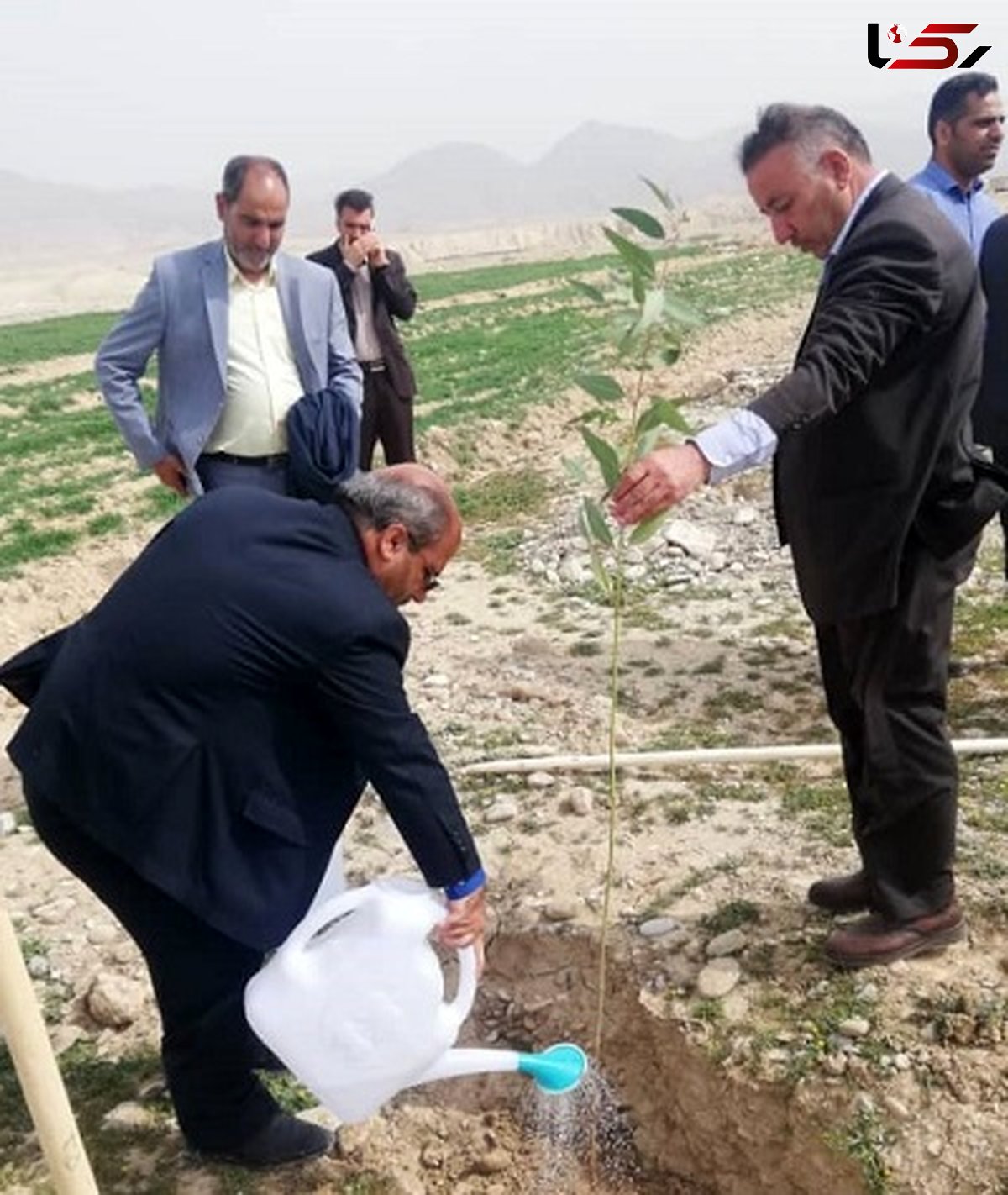 ۴۴ کیلومتر از راه های روستای بانرحمان نهالکاری شد