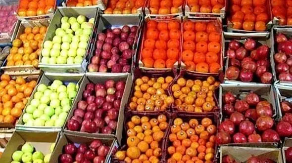 استقبال خوب قطری ها از میوه های ایرانی