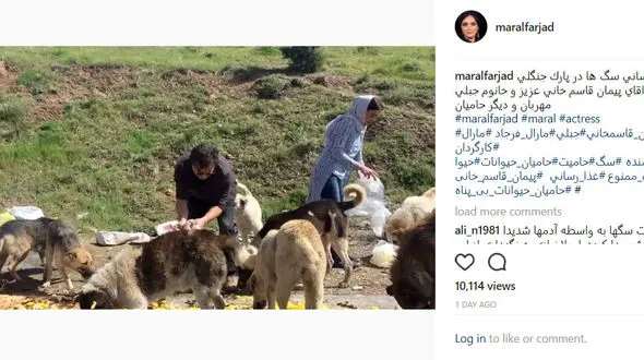 حرکت زیبای بازیگران ایرانی در پارک جنگلی تلو +فیلم