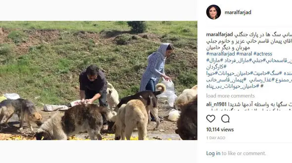 حرکت زیبای بازیگران ایرانی در پارک جنگلی تلو +فیلم