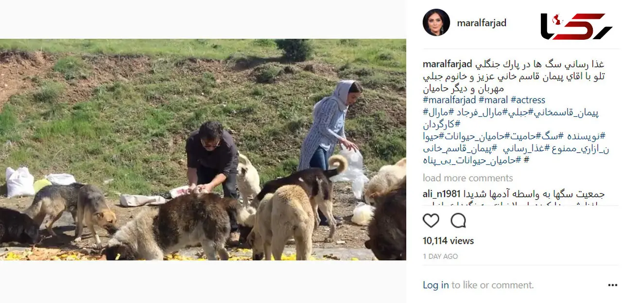 حرکت زیبای بازیگران ایرانی در پارک جنگلی تلو +فیلم