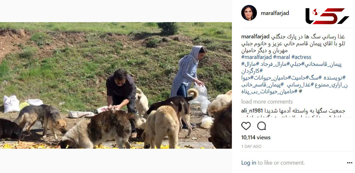 حرکت زیبای بازیگران ایرانی در پارک جنگلی تلو +فیلم