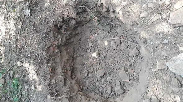 دستگیری حفاران غیرمجاز در آمل