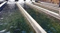 لزوم تکمیل و بهره‌برداری از مزارع پرورش ماهی غیرفعال در لرستان
