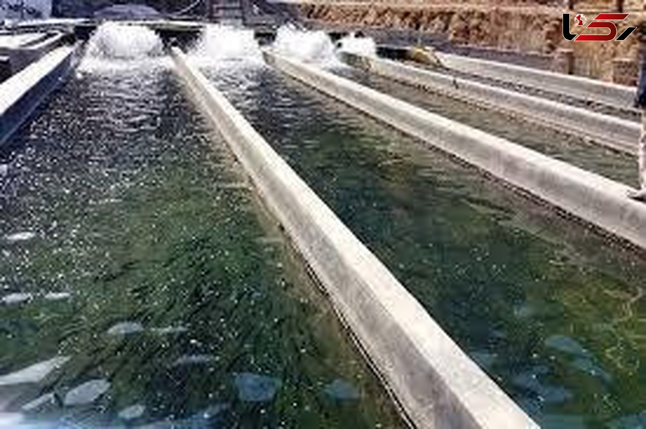 لزوم تکمیل و بهره‌برداری از مزارع پرورش ماهی غیرفعال در لرستان
