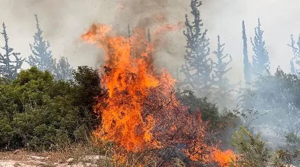 فیلم های آتش سوزی آخرالزمانی گسترده در قدس اشغالی ! 
