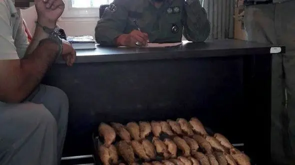 دستگیری صیاد 61 قزل آلای خال قرمز 