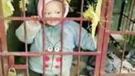 تنبیه بیرحمانه کودک 3 ساله در قفس سگ+عکس