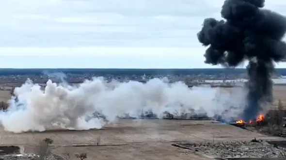 از حمله سارقان با تبر به طلافروشی تا بچه گربه ای که دست خودش را کباب کرد + فیلم