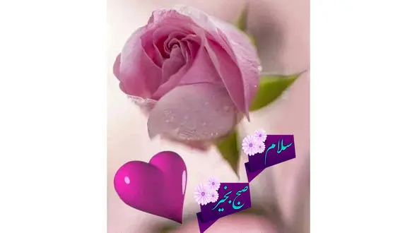 فال ابجد امروز / 24 بهمن + فیلم