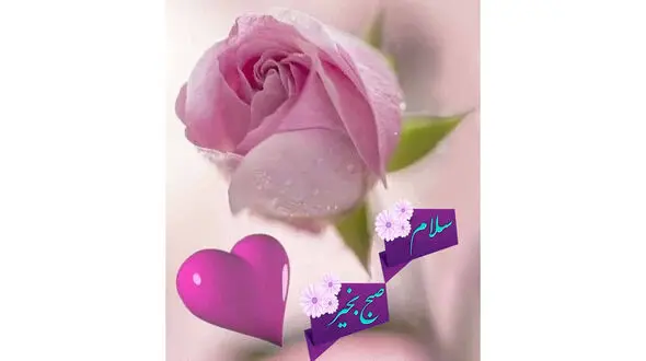 فال ابجد امروز / 24 بهمن + فیلم