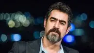 نگاهی به دکوراسیون آشپزخانه امروزی و شیک مادر جوان و خوش خنده شهاب حسینی/سلیقه اش بی نظیره تو چیدمان