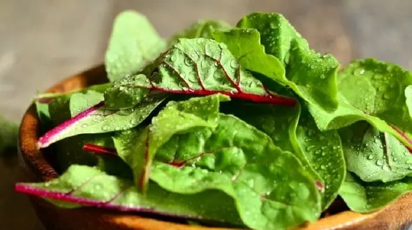 چرا باید اسفناج را خام بخوریم