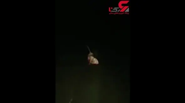 جنون حیوان آزاری به کوسه ها رسید / شکنجه یک کوسه زنده در خیابان! +فیلم