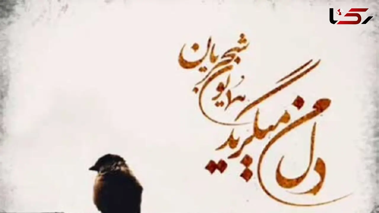 دانلود آهنگ «دل من میگرید» از همایون شجریان/ من گذشتم و به دل حسرت و عشق