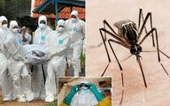 The nine dangerous bugs on WHO warning list of threats to the world - from Nipah to Zika