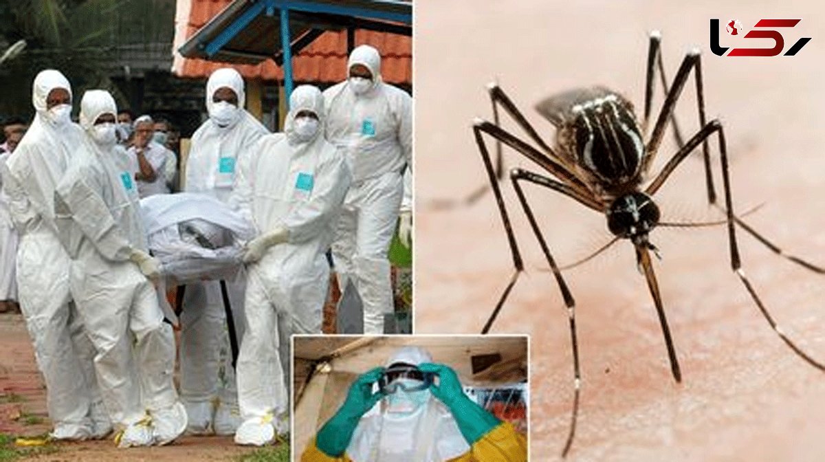 The nine dangerous bugs on WHO warning list of threats to the world - from Nipah to Zika