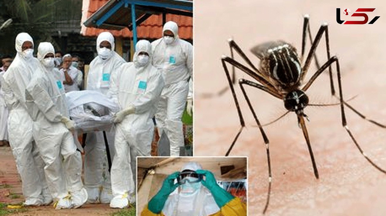 The nine dangerous bugs on WHO warning list of threats to the world - from Nipah to Zika