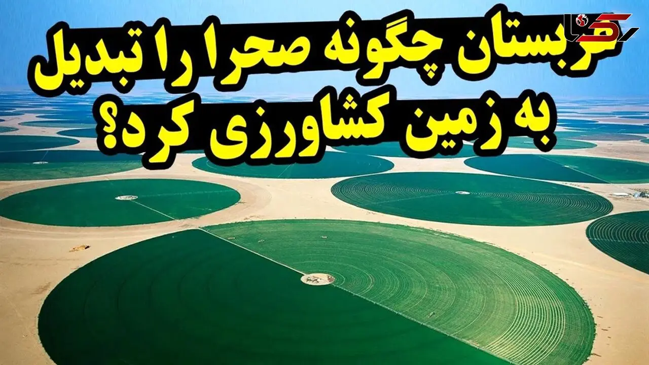 فیلم/ عربستان چگونه صحرا را به زمین کشاورزی تبدیل کرد؟ 