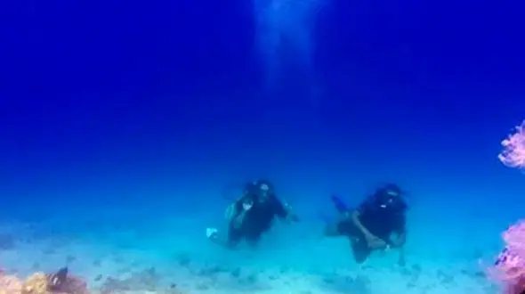 مشاهده موجود عجیبی در مصر که موجب وحشت یک غواص شد + تصاویر