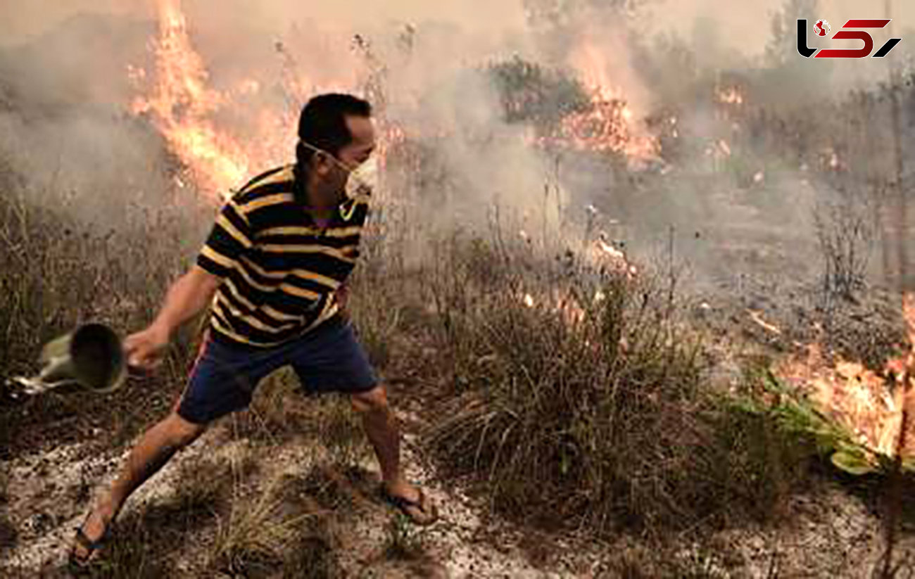 بیش از 100 هزار نفر قربانی آلودگی هوا در جنوب شرق آسیا شدند