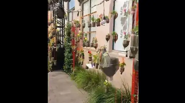 گلدان های جالب و رنگارنگ + فیلم 