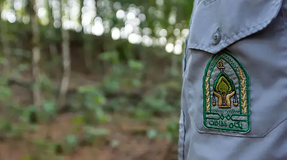 حمله خونین به جنگلبانان گلستانی/ ۲ نفر راهی بیمارستان شدند
